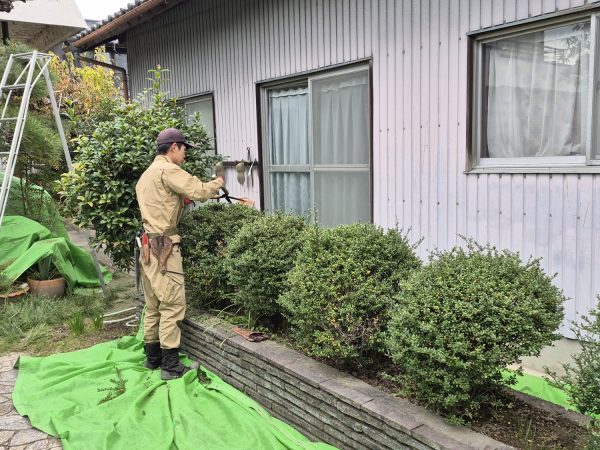 新入社員の剪定デビュー！